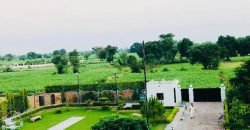 SWIMMING POOL BEDIAN ROAD 33