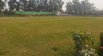 CANAL RAOD FARMHOUSE 155