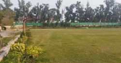 CANAL RAOD FARMHOUSE 155