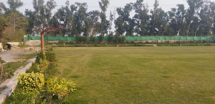 CANAL RAOD FARMHOUSE 155