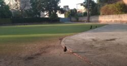 CENTER POINT FARMHOUSE 294