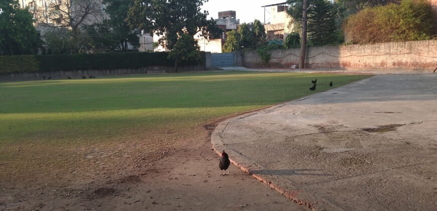 CENTER POINT FARMHOUSE 294