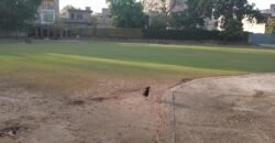 CENTER POINT FARMHOUSE 294