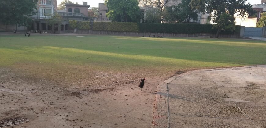 CENTER POINT FARMHOUSE 294