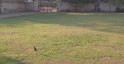 CENTER POINT FARMHOUSE 294