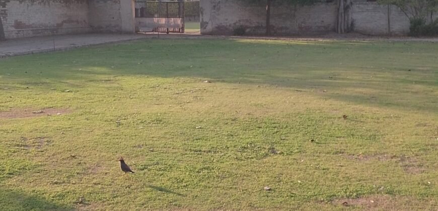 CENTER POINT FARMHOUSE 294