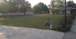 CENTER POINT FARMHOUSE 294