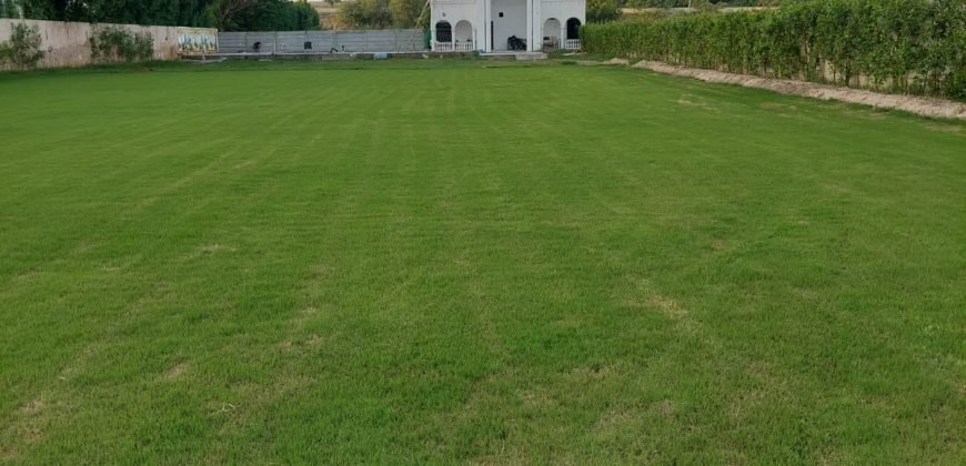 RAIWIND ROAD  FARMHOUSE  247