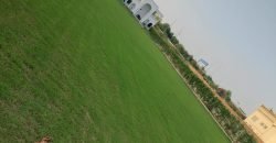 RAIWIND ROAD  FARMHOUSE  247