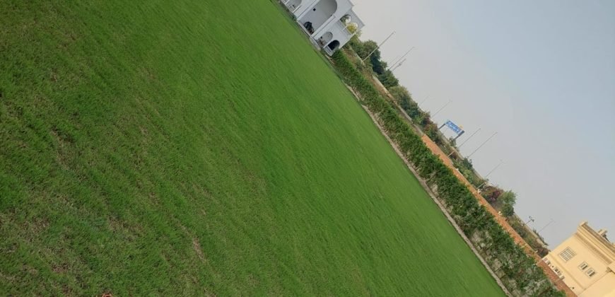 RAIWIND ROAD  FARMHOUSE  247