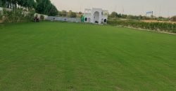 RAIWIND ROAD  FARMHOUSE  247