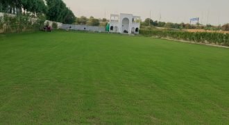 RAIWIND ROAD  FARMHOUSE  247