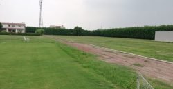 BARKI ROAD FARMHOUSE 91