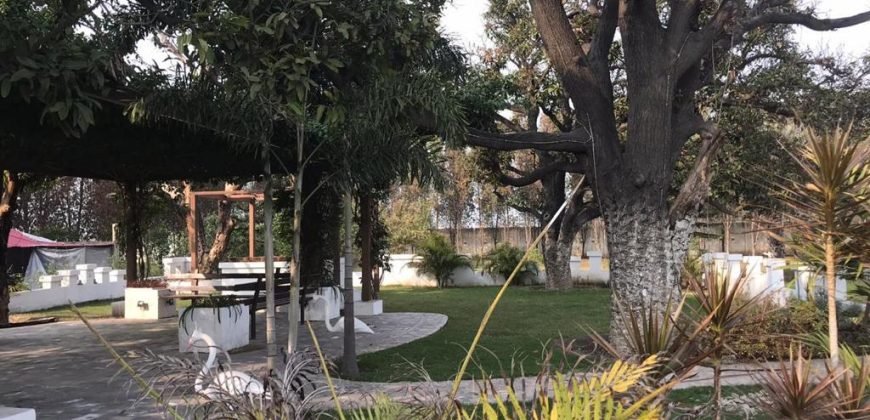 BARKI ROAD FARMHOUSE 115