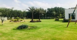 BARKI ROAD FARMHOUSE 115