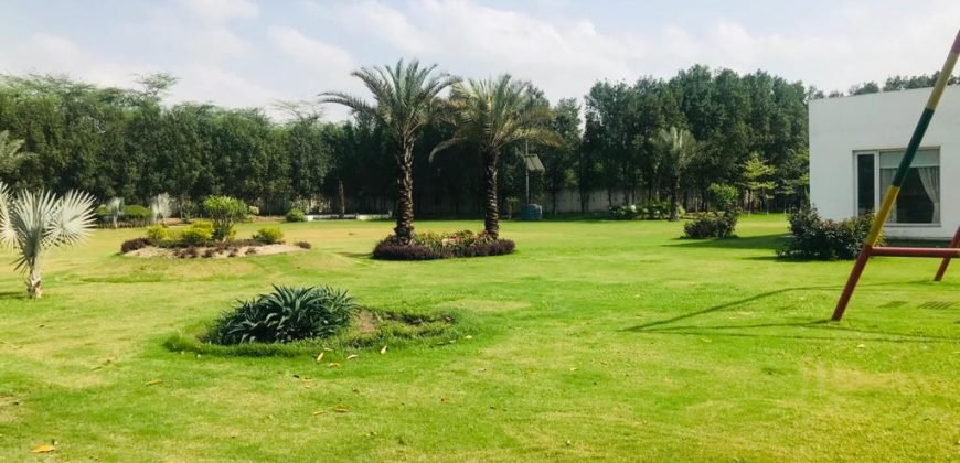 BARKI ROAD FARMHOUSE 115