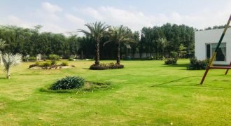 BARKI ROAD FARMHOUSE 115