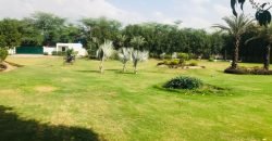 BARKI ROAD FARMHOUSE 115