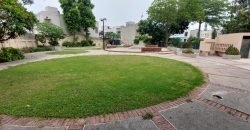 EDEN AVENUE FARMHOUSE 240