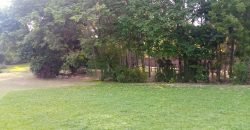 JOHAR TOWN FARMHOUSE 288