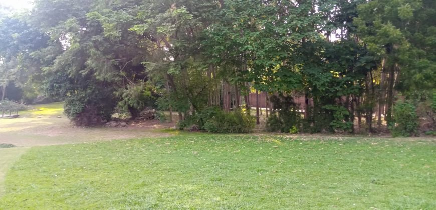 JOHAR TOWN FARMHOUSE 288