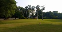 JOHAR TOWN FARMHOUSE 288