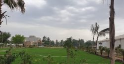 FEROZPUR ROAD FARMHOUSE 67