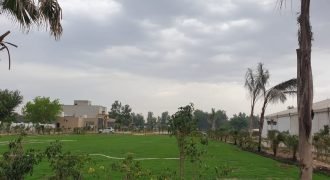 FEROZPUR ROAD FARMHOUSE 67