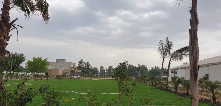 FEROZPUR ROAD FARMHOUSE 67