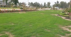 FEROZPUR ROAD FARMHOUSE 67