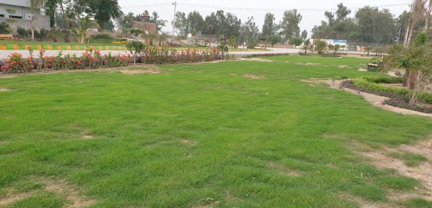 FEROZPUR ROAD FARMHOUSE 67