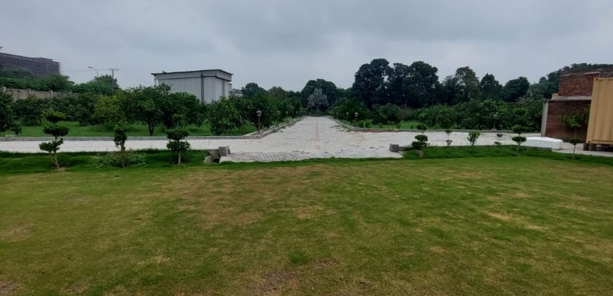 THOKAR NIAZ BAIG FARMHOUSE 132