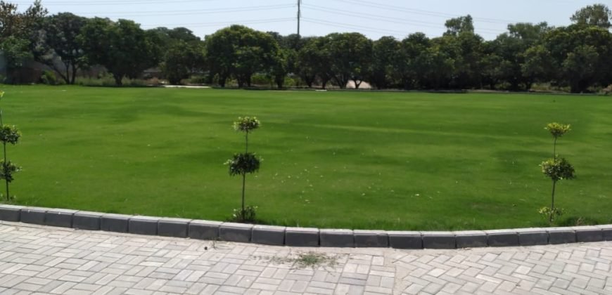 THOKAR NIAZ BAIG FARMHOUSE 132