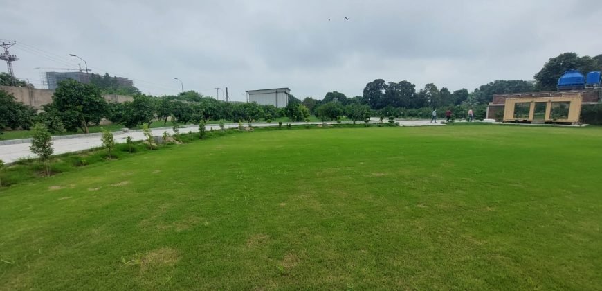 THOKAR NIAZ BAIG FARMHOUSE 132