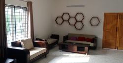 BARKI ROAD FARMHOUSE 146