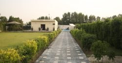 BARKI ROAD FARMHOUSE 146