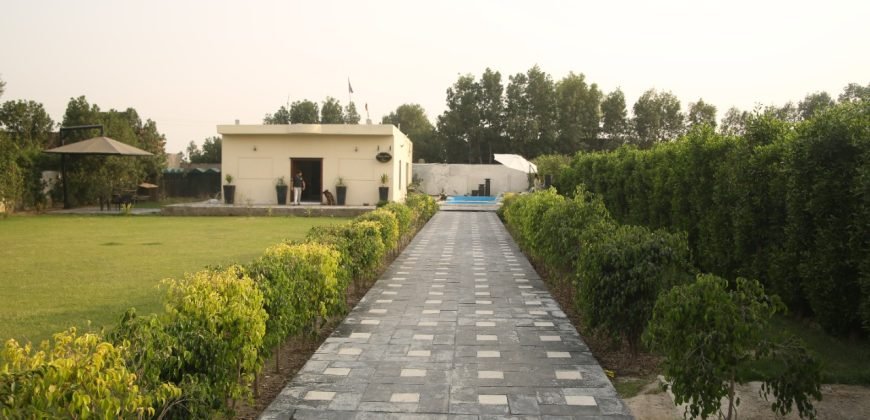 BARKI ROAD FARMHOUSE 146