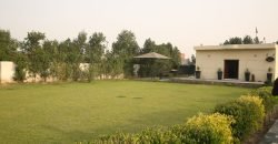 BARKI ROAD FARMHOUSE 146