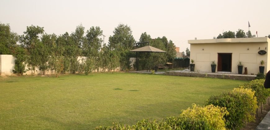 BARKI ROAD FARMHOUSE 146