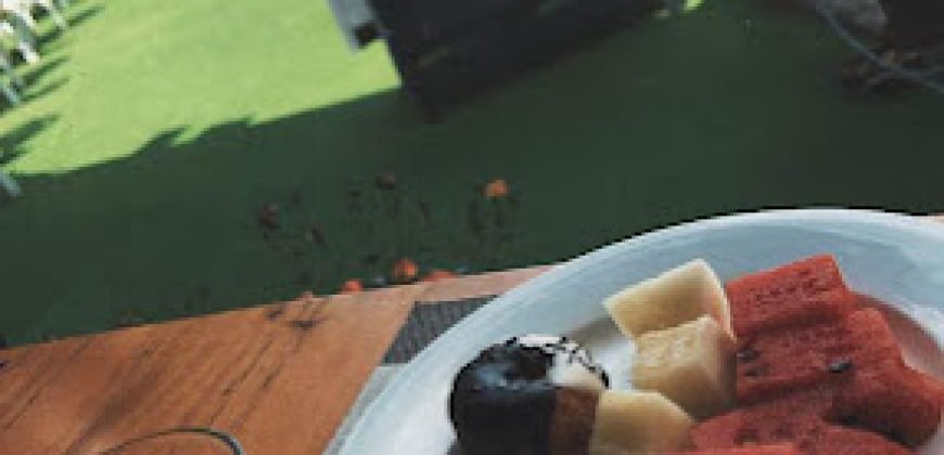 ATTABAD RESORT FARMHOUSE 206