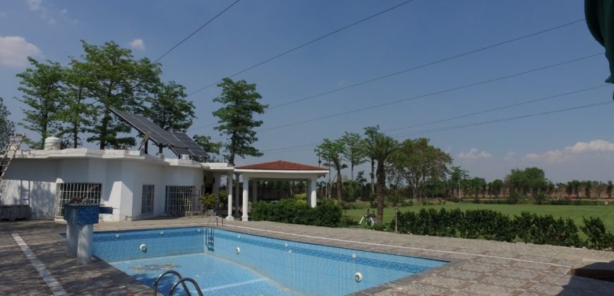 SWIMMING POOL FEROZPUR ROAD 129