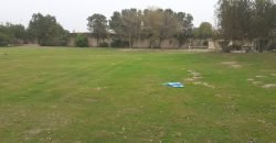 BARKI ROAD FARMHOUSE 208