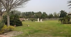 BARKI ROAD FARMHOUSE 208