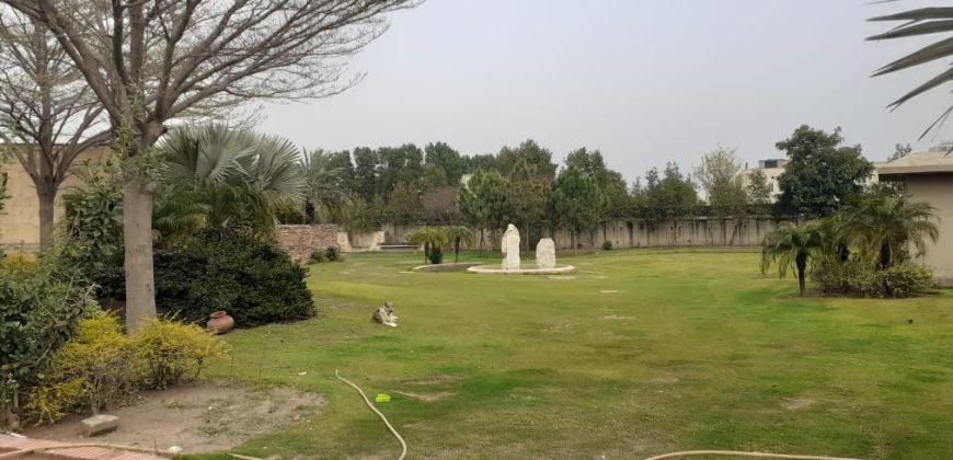 BARKI ROAD FARMHOUSE 208