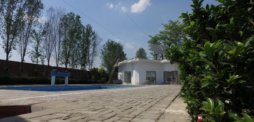 SWIMMING POOL LDA 35