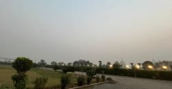 LAHORE CITY FARMHOUSE  274