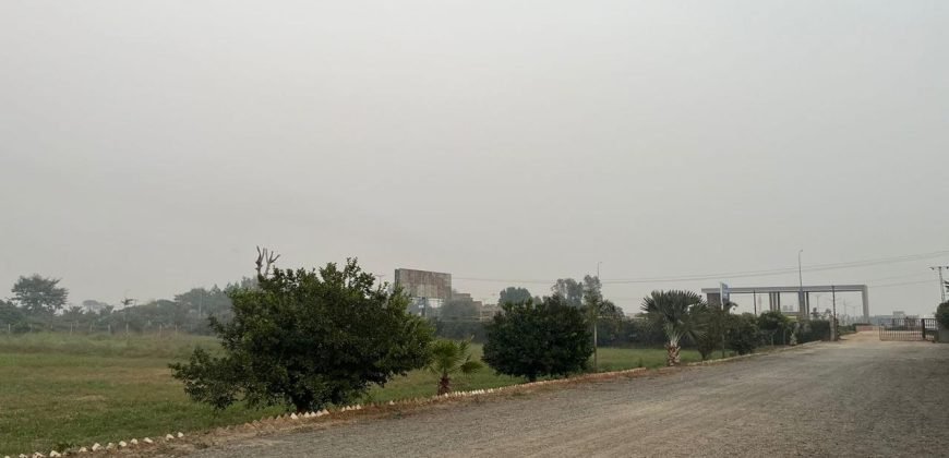 LAHORE CITY FARMHOUSE  274