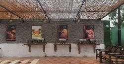 FAISALABAD FARMHOUSE 184