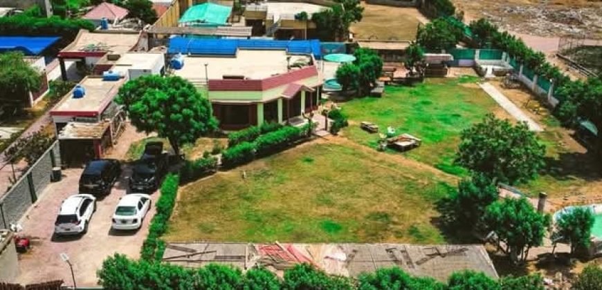 FAISALABAD FARMHOUSE 184