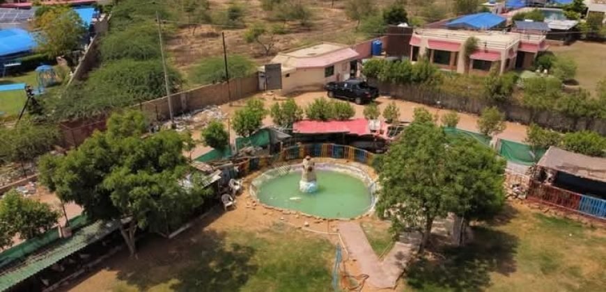 FAISALABAD FARMHOUSE 184